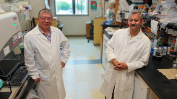 La supervivencia del cáncer de cuello de útero puede mejorar si se ataca a las células senescentes "zombis"