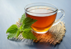 Green tea compound aids tumour-suppressing, DNA-repairing protein