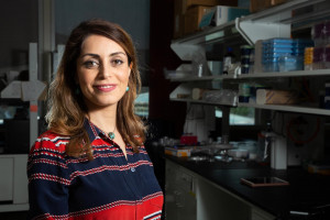 Targeted delivery of highly toxic anti-cancer drug to brain tumours