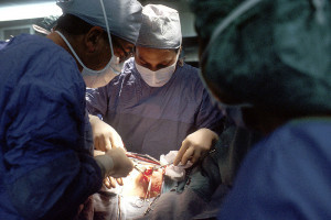 Tumour-targeting fluorescent bacteria illuminate cancer for precision surgery