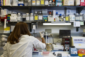 AACR 2021: Researchers identify surface protein as a new osteosarcoma therapeutic target for antibody-drug conjugates