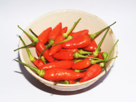 Capsaicin analog could help treatment-resistant lung cancer
