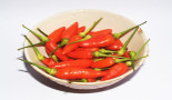 Capsaicin analog could help treatment-resistant lung cancer