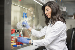 NK cells with bispecific antibody show activity against lymphoma cells