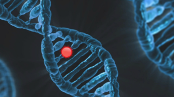 Epilepsy drug stops nervous system tumour growth in mice