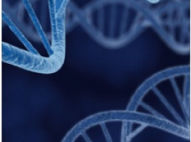 Integrative scATAC-seq and mtDNA mutation analysis reveals disease-driven regulatory aberrations in AML