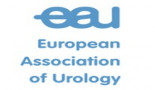 EAU 13: Epigenetic changes play a key role in development of chemo resistance in BCa