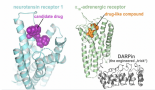 3D Structures of key membrane proteins foster the development of better drugs