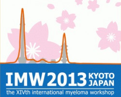 IMW 2013: Will consolidation and maintenance become standard of care in the future?
