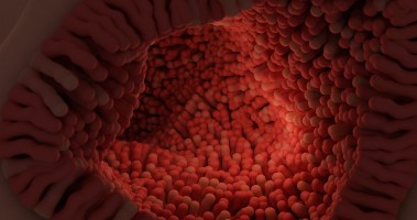 New evidence links gut microbiome to chronic disease outcomes