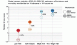 Cardio-oncology in Latin America and the Caribbean. Current state