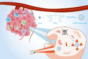 Design and synthesis of Zr-IR825 nanoparticles for photothermal therapy of tumour cells