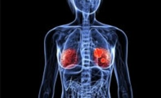 La «capa adhesiva» aumenta la capacidad de metástasis del cáncer de mama triple negativo.