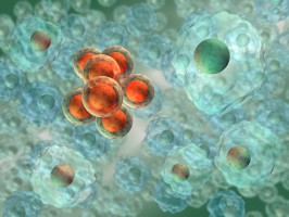Investigadores logran bloquear un conductor principal de cáncer