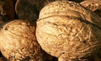 Nut consumption may aid colon cancer survival