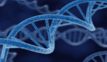 Un test para medir la respuesta inmune contra el cáncer