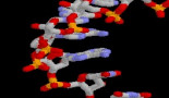 Una técnica de laboratorio predice la gravedad del cáncer