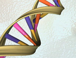 Recurrent ovarian cancers respond to cancer vaccine after “reprogramming” with decitabine