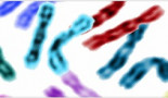 Mejoran la predicción del riesgo de sufrir algunos tipos de cáncer hereditario