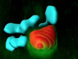 Identifican patrones de interacción ARN-proteínas relacionados con el origen del cáncer