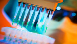 Investigadores del CNIO proponen una nueva terapia combinada para el tratamiento del cáncer
