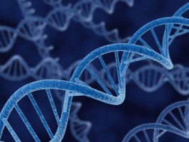 Asocian códigos genéticos con el riesgo de cáncer en tumores hereditarios de colon
